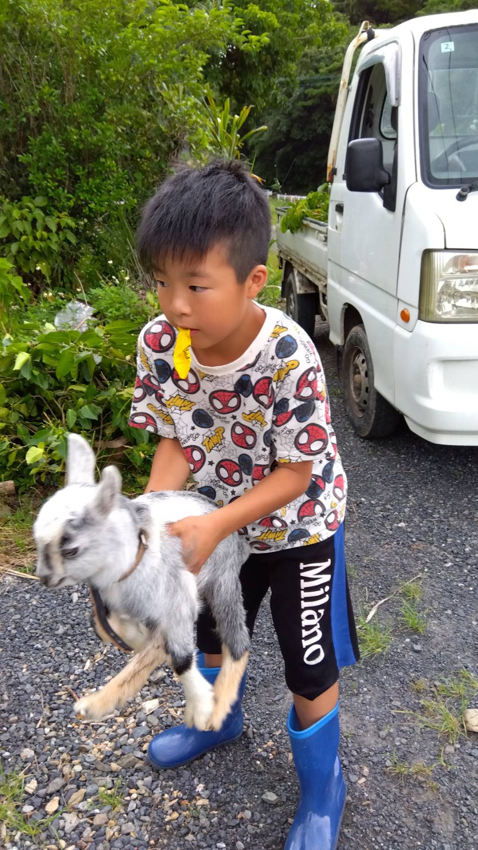 奄美市の児童発達支援　はごろもの郷