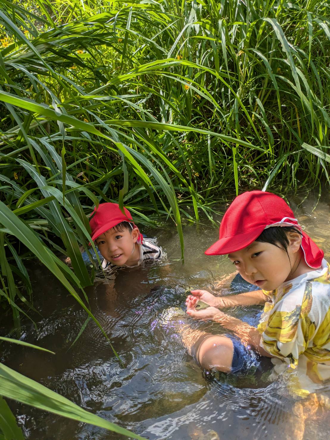 奄美市の児童発達支援　はごろもの郷