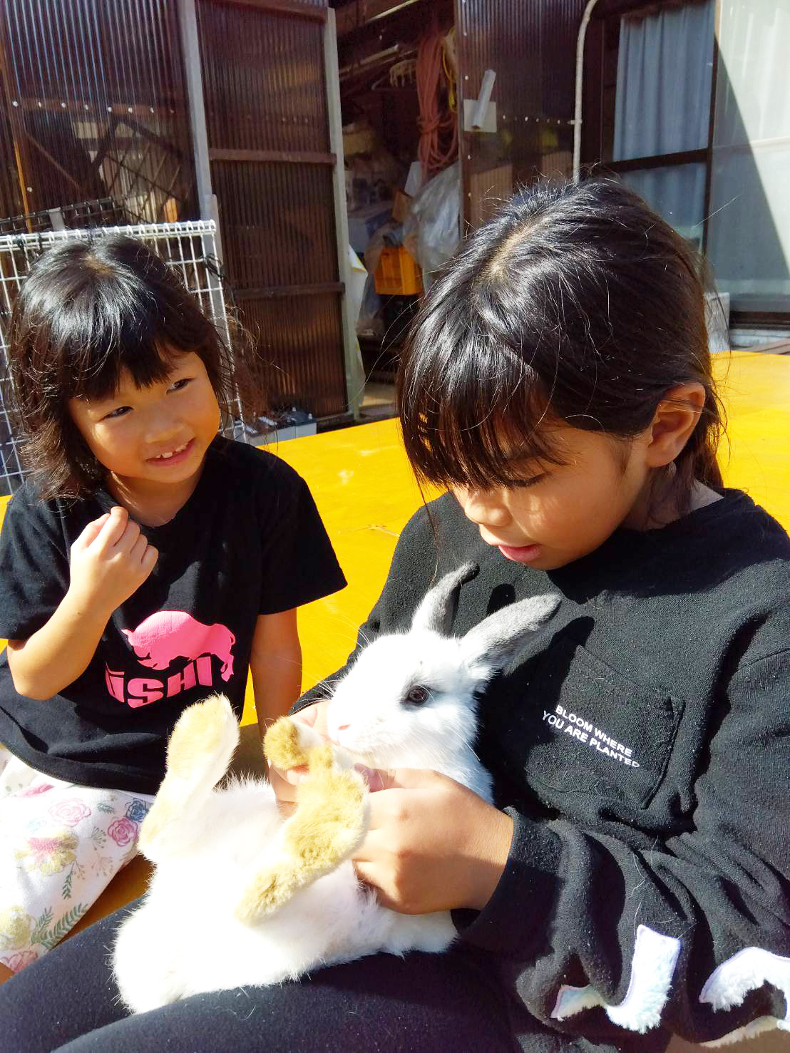 奄美市の児童発達支援　はごろもの郷