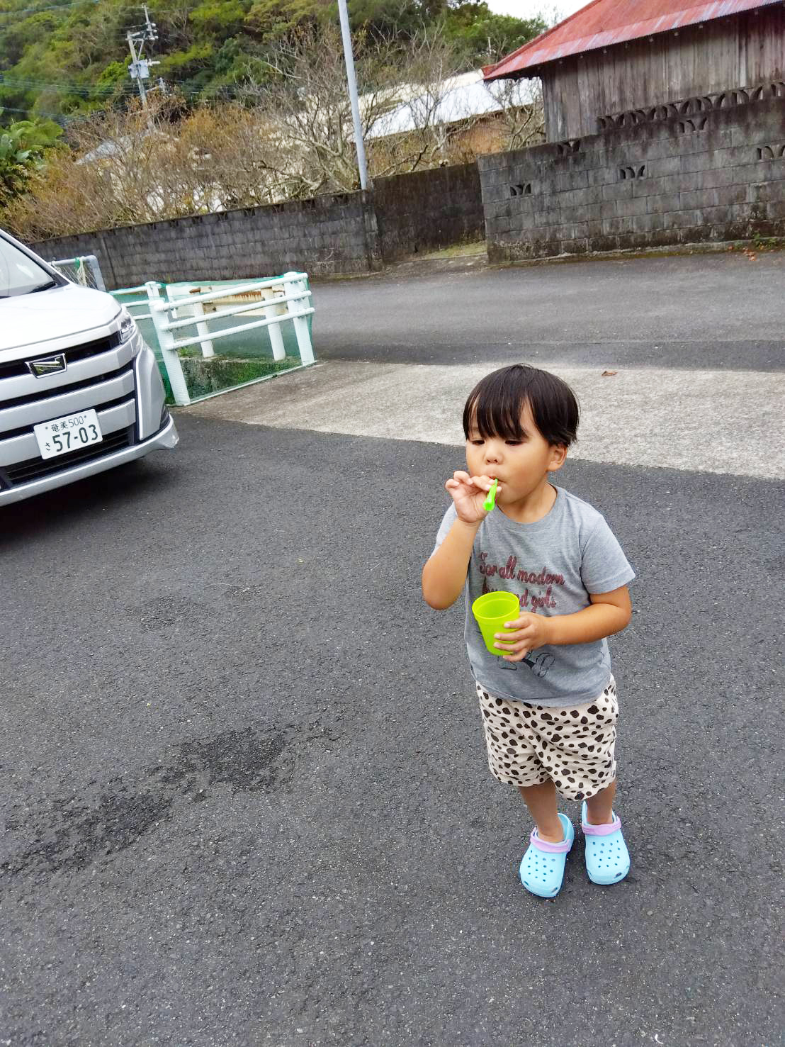 奄美市の児童発達支援　はごろもの郷