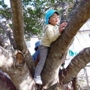 奄美市の児童発達支援　はごろもの郷