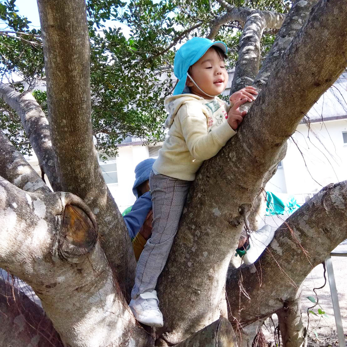 奄美市の児童発達支援　はごろもの郷