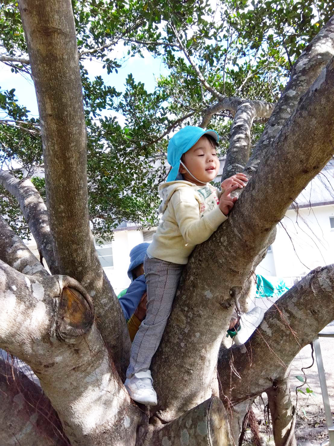 奄美市の児童発達支援　はごろもの郷